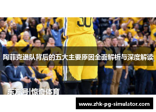 陶菲克退队背后的五大主要原因全面解析与深度解读 陶菲克退队背后的五大主要原因全面解析与深度解读